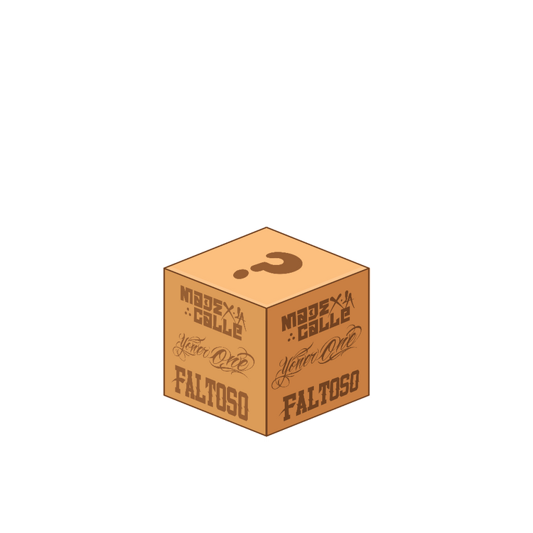 Mystery Box Chica