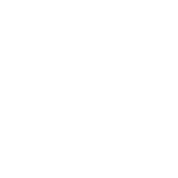 logo-image