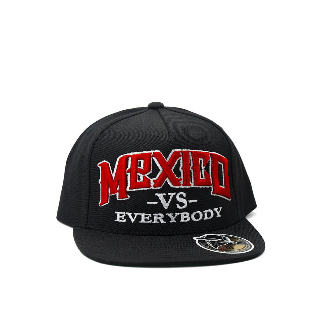 Gorra Mexico vs Everybody